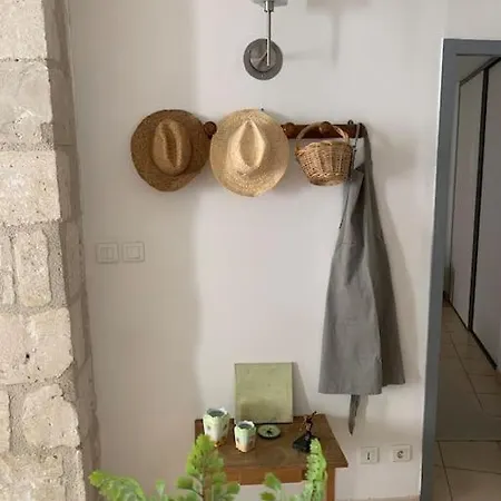 Le Provencal - Hyper Centre - Wifi Apartment Avignon Exterior photo